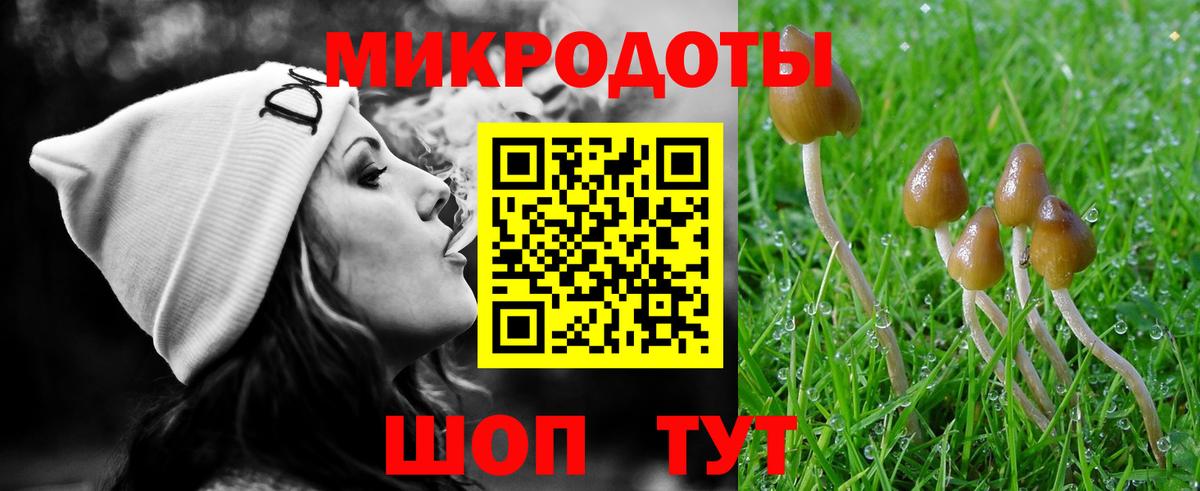 Протвино  Галлюциногенные грибы Psilocybe  Вход с VPN 