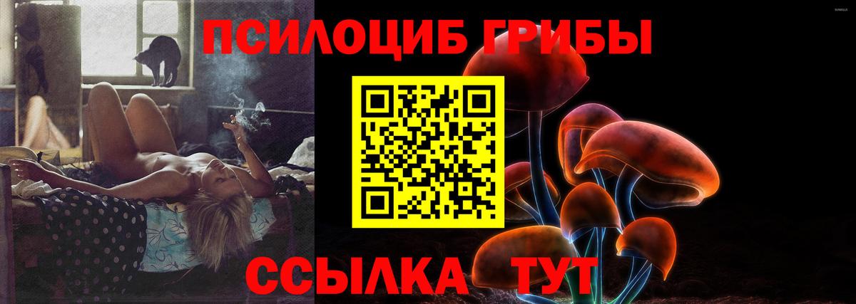 Псилоцибиновые грибы Psilocybine cubensis Протвино